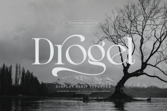 Drogel: A Majestic Serif Font